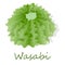 Wasabi Japanese horseradish illustration on white