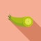 Wasabi root plant icon flat vector. Green food healthy