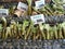 Wasabi root for sale