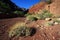 The wash at Hance Rapids in the Grand Canyon.