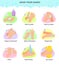 Wash hands vector instructions of washing or cleaning hands with soap and foam in water illustration antibacterial set