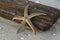 Washed ashore starfish and wooden board