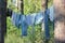 Washed clothes jeans and raglanÑ– are dried on a rope in the forest among the pines on summer sunny day.