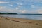 Washed Drift wood litters the beach on the Penobscot river in Ma