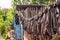 The washed socks are hung on the rope. Dry socks are dried on the street.Hanging clothes drying outdoors.