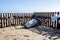 Washed up beach debris pollution. Rubbish on the coast of England.