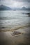 Washed up stingray in stormy weather on beach in Elgol on Isle of Skye in Scotland