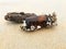 Washed up stranded bottle and drift wood covered with sea shells on beach