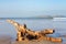 Washed Up Wood on a Beach in Essaouria Morocco with Mogador Island in the background