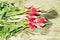 Washedup garden radish/washedup garden radish on an old wooden background, top view