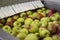 Washing apples in the fruit processing plant, close