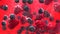washing berries, slow motion video