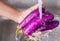 Washing Eggplant Vegetables