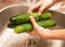 Washing fresh cucumbers in the water under the tap