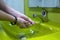 Washing hands properly. Hygiene concept. Rubbing with soap and water. Colorful sink