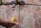 Washing pear under old faucet, man holding pear in hand