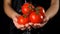 Washing the red tomatoes in woman hands, slow motion