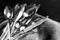 Washing silver spoons, forks and knives in kitchen sink with foam, closeup