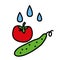 Washing vegetables icon. Vector illustration. Cooking concept