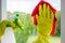 Washing windows. Woman sprays a detergent and wipes the glass. Home cleaning concept