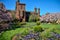 Washington DC - Flowering magnolia blossom trees and gardens frame the Smithsonian Castle on the National Mall in