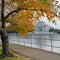 Washington DC, Jefferson Memorial in Autumn