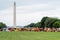 Washington DC, USA - June 9, 2019: Food trucks and people on the National Mall - image