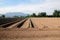 Washington Farm Land Ready for Planting