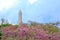 Washington monument in cherry bloom