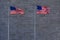 Washington Monument Flag Detail