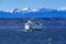 Washington State Ferry Boat Olympic Mountain Range Edmonds Washington