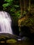 Washington State waterfall with mossy rocksand three trees
