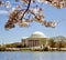 Washington Thomas Jefferson Memorial 1999