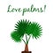 Washingtonia palm tree poster