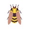 Wasp Flying Insect Top View Vector Illustration