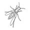Wasp, hymenopteran insect.Wasp, stinging insect single icon in outline style vector symbol stock isometric illustration