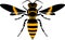 Wasp, icon