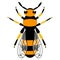Wasp icon. Bee icon. Honey bee or wasp. Insect color wasp. A stinging insect. Flat design