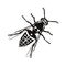 The wasp icon. Black silhouette of a wasp. A stinging hymenopteran insect.