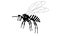 Wasp icon. lack silhouette of an insect on a white background