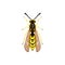 Wasp icon, pest control insect parasite, hornet