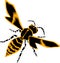 Wasp illustration