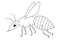 Wasp. Sketch. A small fly with a sting. Vector illustration. Coloring book for children. An insect with wings.