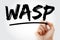 WASP - Weighted Average Selling Price acronym with marker, business concept background