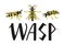 Wasps set and lettering isolated illustration on white background