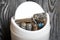 Waste bin. It contains finger-type batteries coated with corrosion. Against the background of brushed pine boards painted in black