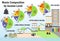 Waste composition by income level infographic. Different types of rubbish