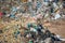 Waste dump concept, Pile of the garbage, garbage dump , waste from household in waste landfill, plastic world