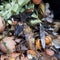 Waste food in a compost bin