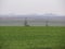 Waste heaps on the horizon. High-voltage electrical transmission line on the background of heaps in haze. Young sowing of winter